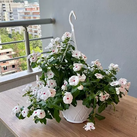 Luxury Vlorë